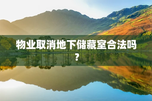 物业取消地下储藏室合法吗？