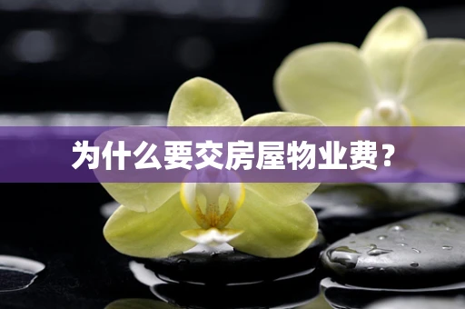 为什么要交房屋物业费？