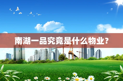 南湖一品究竟是什么物业？
