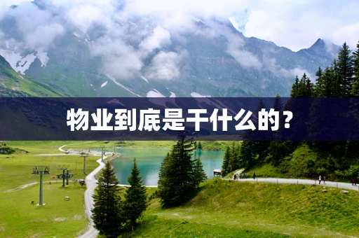 物业到底是干什么的？