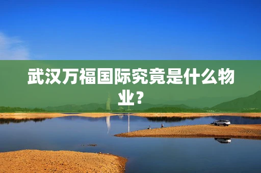 武汉万福国际究竟是什么物业？