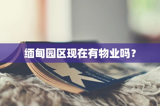 缅甸园区现在有物业吗？