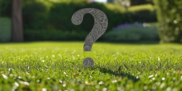 打药到底归物业管吗？