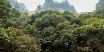 侨兴花园有物业吗？