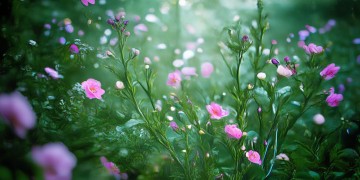 物业不提电费发票违法吗？